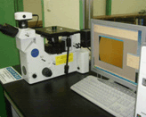 Metallurgical Microscope Metallurgical Microscope